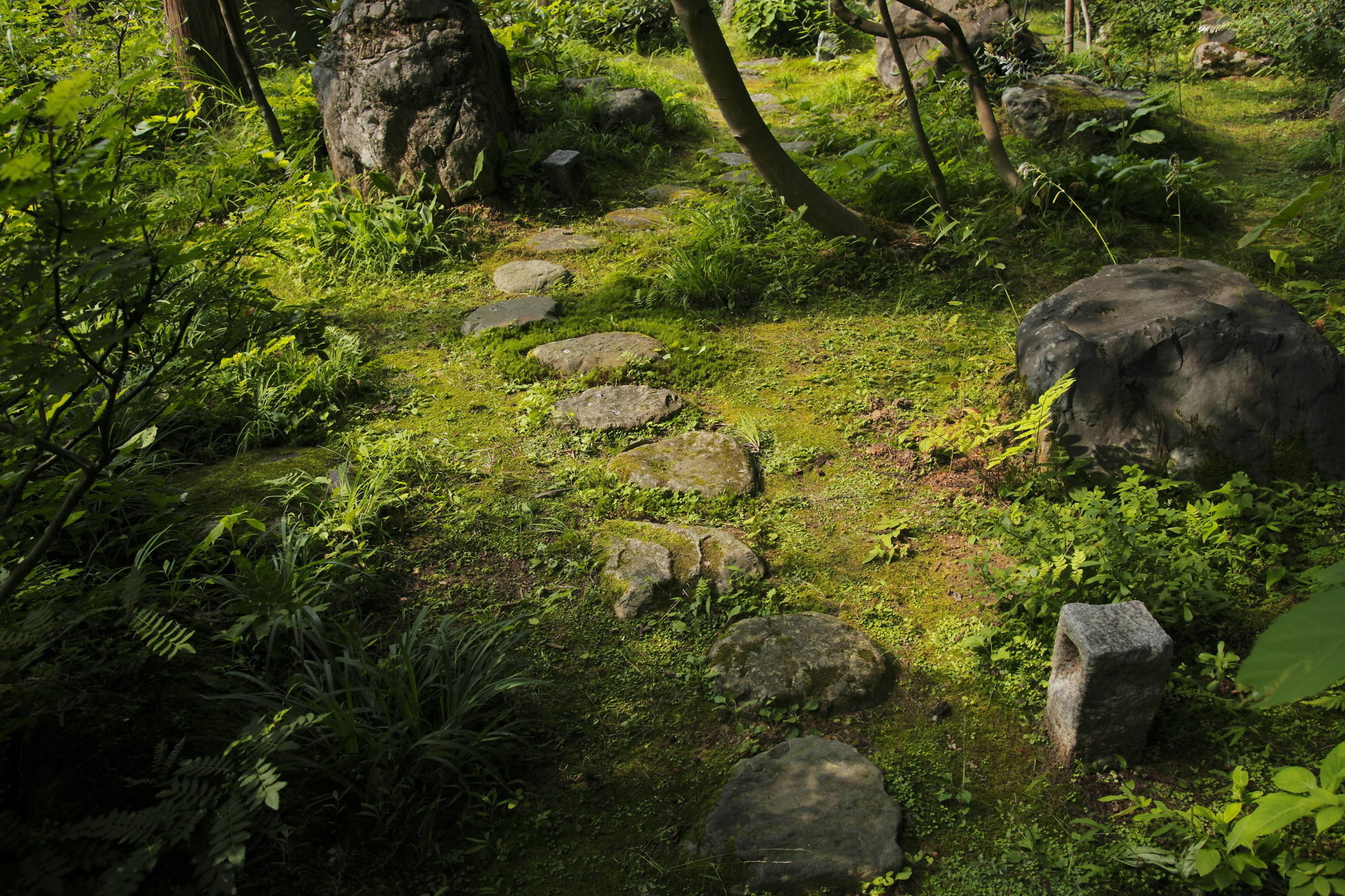 Ichirino Kogen Hotel Roan Hakusan Extérieur photo